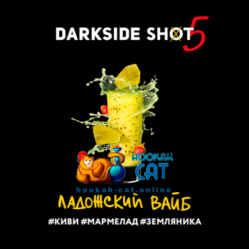 Табак для кальяна Dark Side Shot Ладожский Вайб (Дарк Сайд Шот) 30г Акцизный